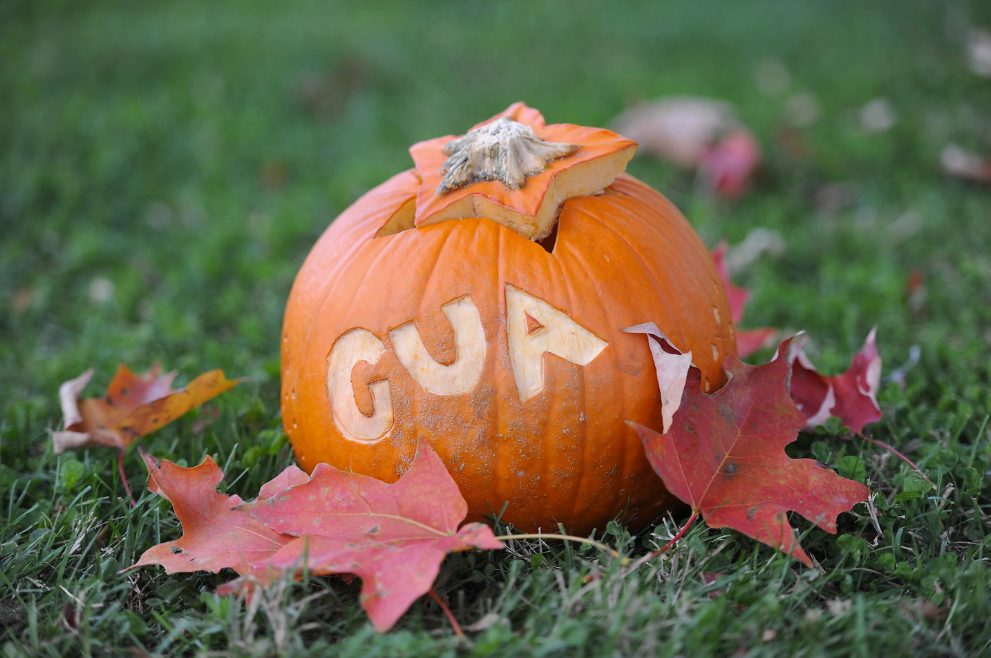 Pumpkin with CUA carved onto it.