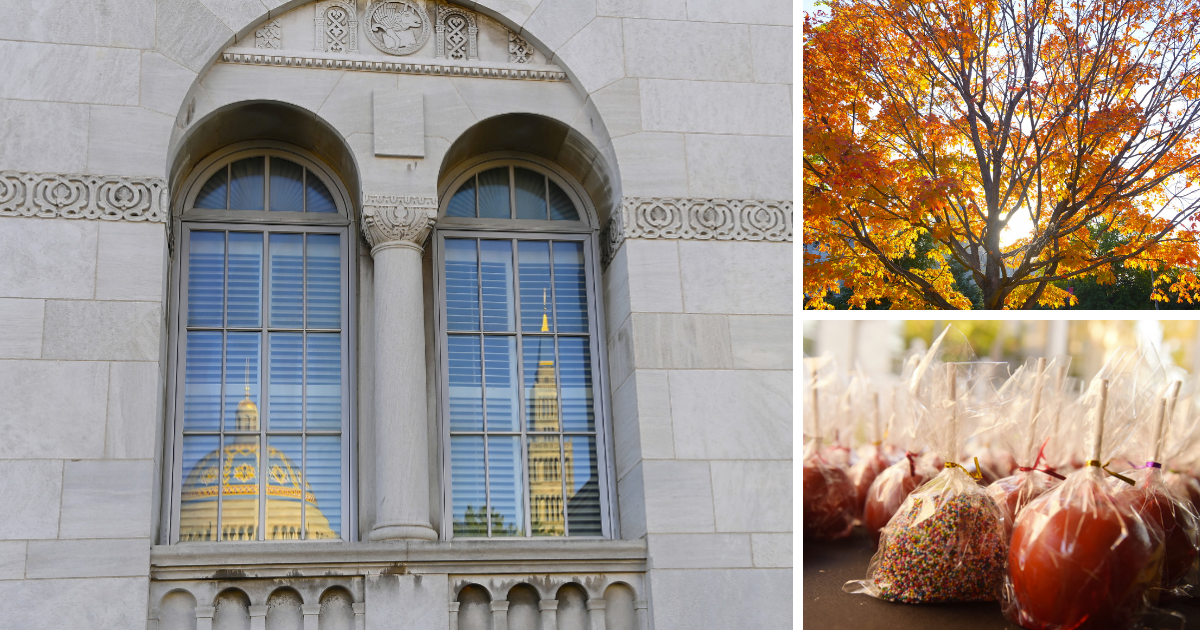 Photo collage of Mullen Library, an autumn tree with yellow leaves, and a tray of candy apples