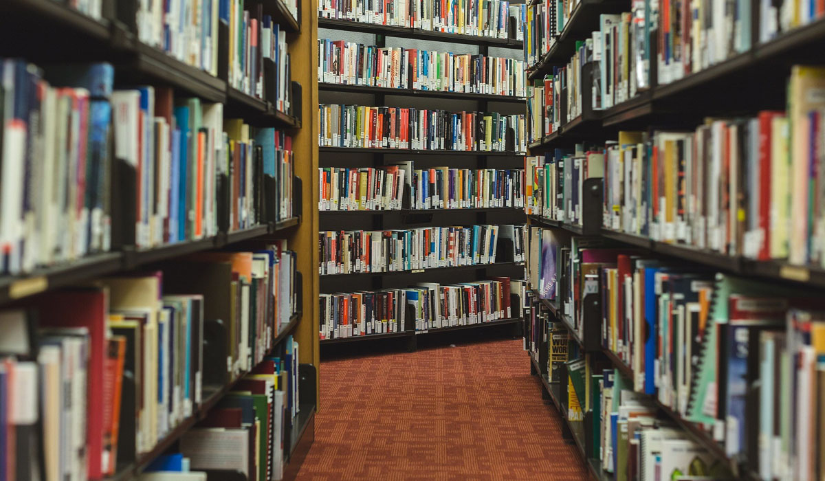 Library Stacks Image